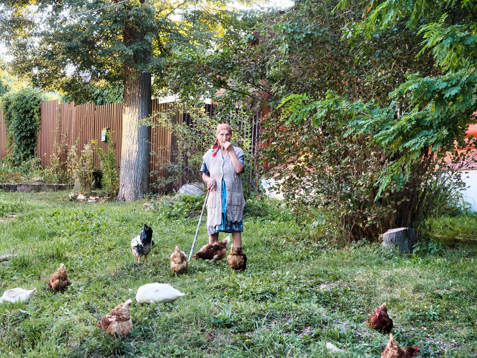 Some chickens and a woman in a garden