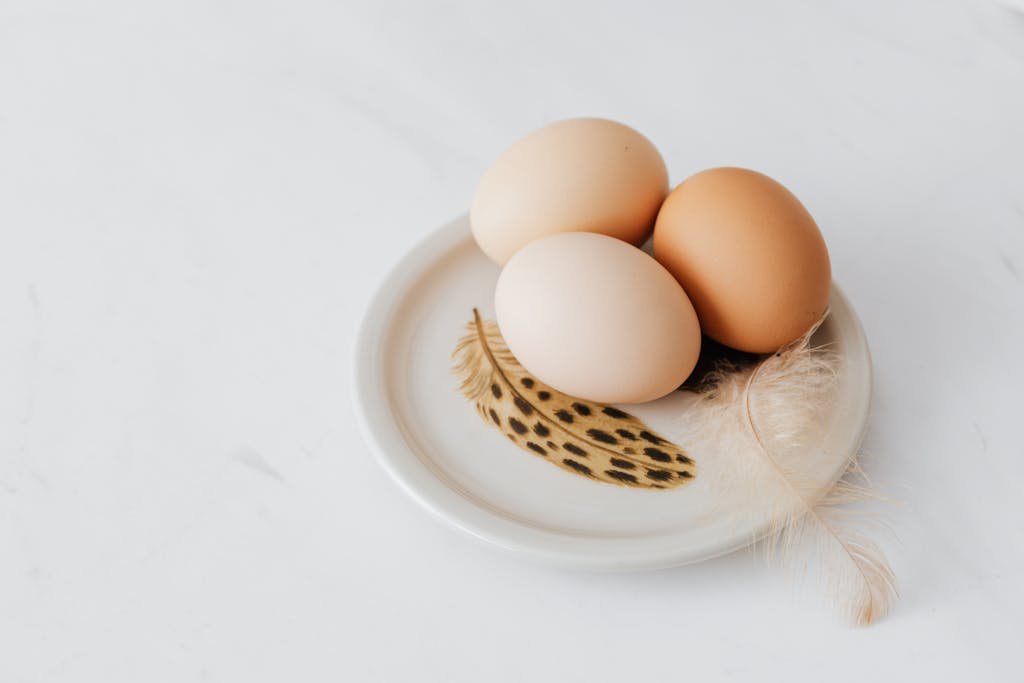 Eggs and Feathers on a Plate