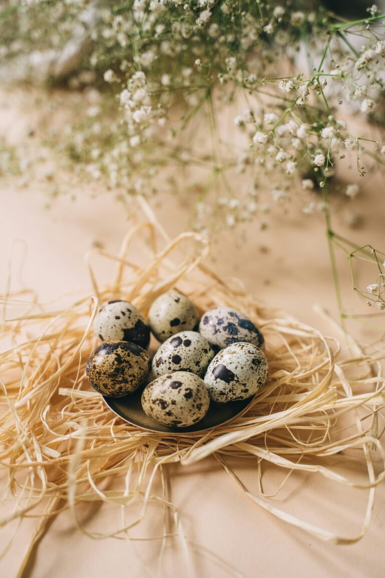 El misterio del huevo de gallina: ¿puede una gallina poner 2 huevos al día?