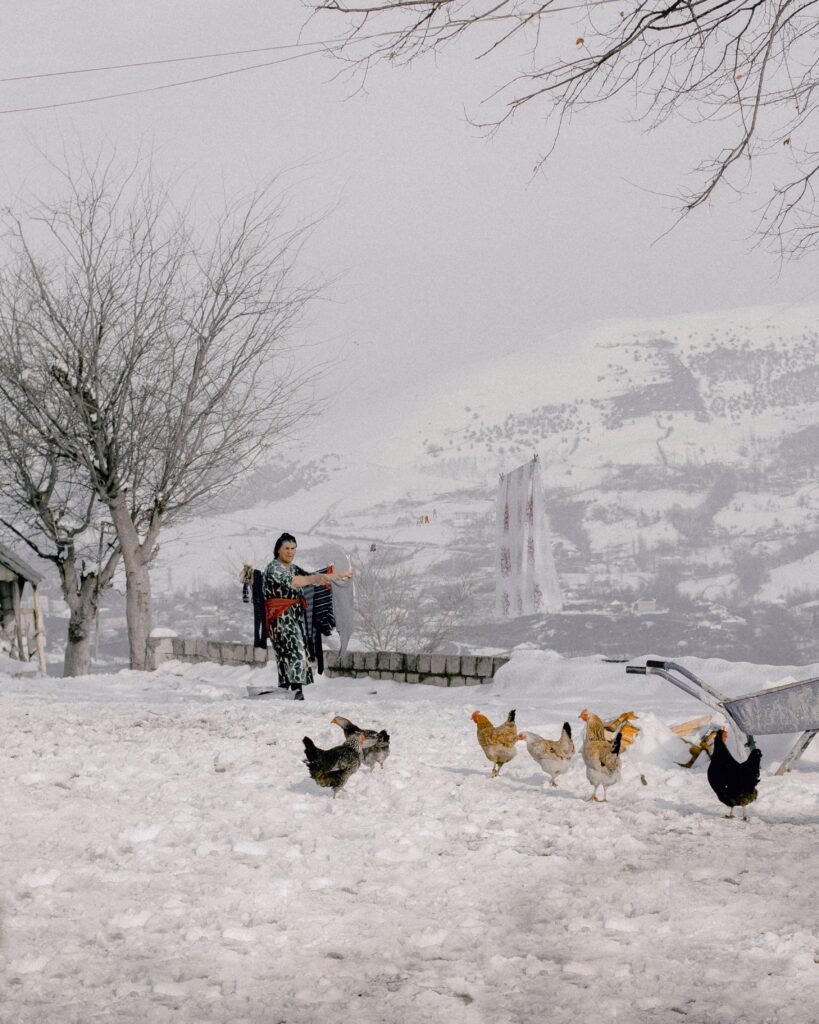 How Cold Can Chickens Tolerate? The Ultimate Guide to Winter Care