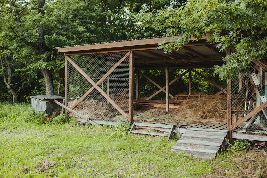 A rustic wooden chicken coop with hay inside, surrounded by lush greenery in an outdoor yard setting.